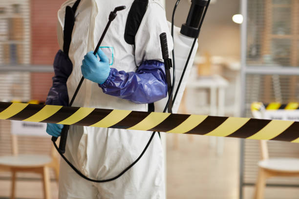 Professional Hoarding Cleanup technician working in Mead, CO